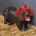 WENDYHIPPO