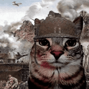 TRENCHCAT