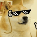 DANKDOGE