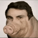 BOAR