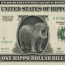 ONEHIPPO