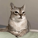 CATE