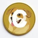 CORGI