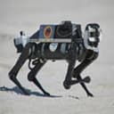 ROBOTDOG