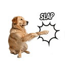 SLAP