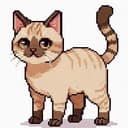 /cat