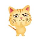 shushcat