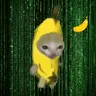 Banana Cat