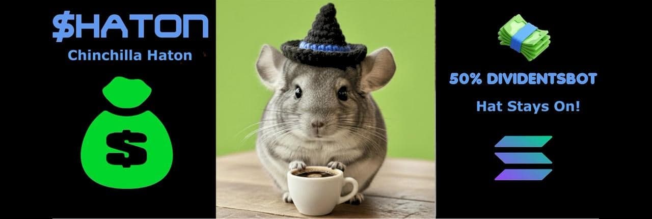 Chinchilla Haton Banner