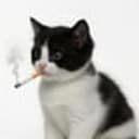 CigCat