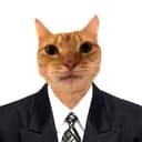 suitcat