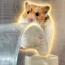 きんたま
