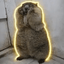 MARMOTS