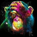 MONKEY