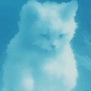 CLOUDCAT