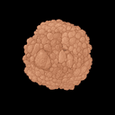 MOLECOIN