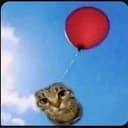 BalonCat