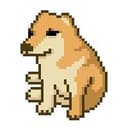 CashDog