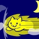 SPEEDYCAT