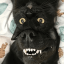meowf
