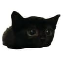 SMOLCAT