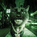 nvcat