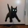 jump
