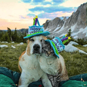 FRIENDSHIP