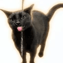 Faucat