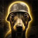 PTSD