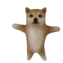 WDOG