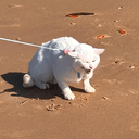 Yuki