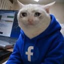 FBCAT