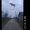 GOINGMEGAV