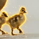 GOSLING