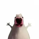 walter