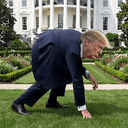 POTUS