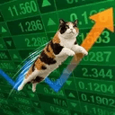 JUMPCAT