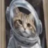 MOONCAT