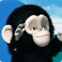 CHIMP