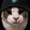 pumpcat