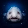 GILL
