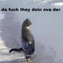 dafuq