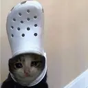 croc