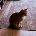 Hobbes