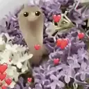 SNEK