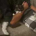 STU