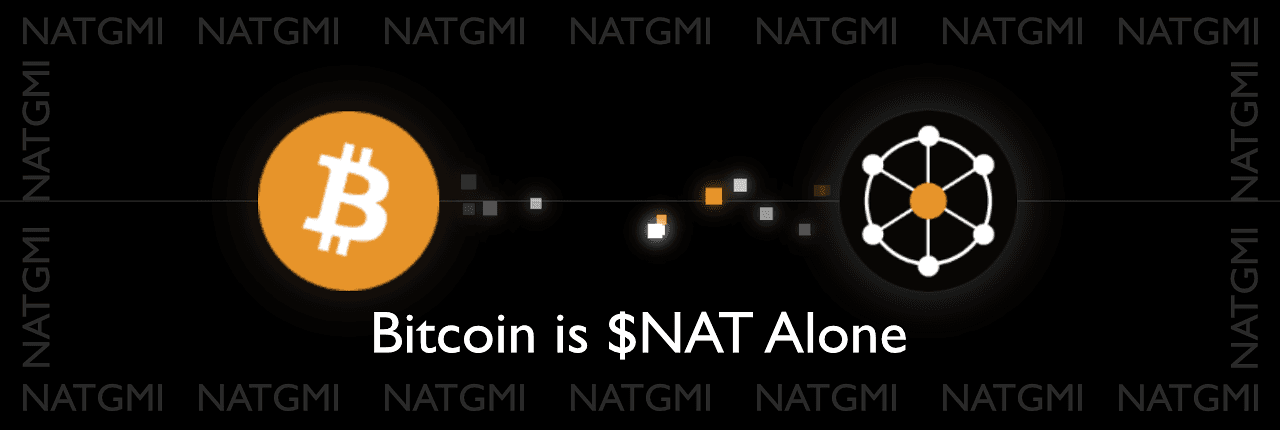 dmt-nat Banner