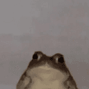 freg