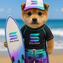 surfinu
